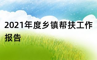 2021年度乡镇帮扶工作报告