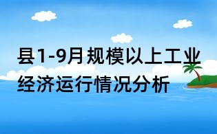 县1-9月规模以上工业经济运行情况分析