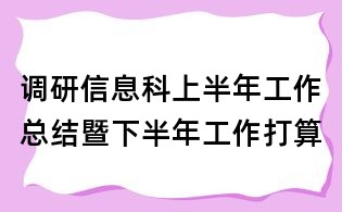 调研信息科上半年工作总结暨下半年工作打算