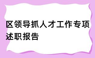 区领导抓人才工作专项述职报告