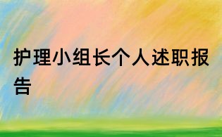 护理小组长个人述职报告