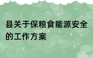 县关于保粮食能源安全的工作方案