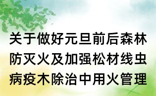 关于做好元旦前后森林防灭火及加强松材线虫病疫木除治中用火管理