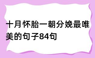 十月怀胎一朝分娩最唯美的句子84句