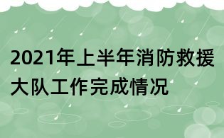 2021年上半年消防救援大队工作完成情况