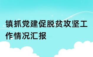 镇抓党建促脱贫攻坚工作情况汇报