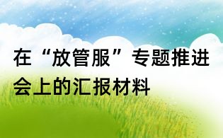 在“放管服”专题推进会上的汇报材料