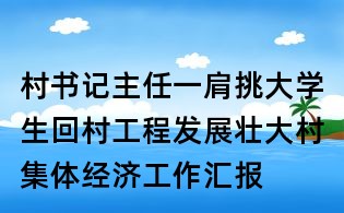 村书记主任一肩挑大学生回村工程发展壮大村集体经济工作汇报