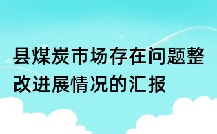县煤炭市场存在问题整改进展情况的汇报
