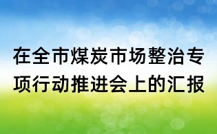 在全市煤炭市场整治专项行动推进会上的汇报