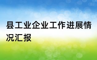 县工业企业工作进展情况汇报