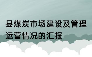 县煤炭市场建设及管理运营情况的汇报