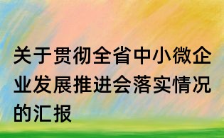 关于贯彻全省中小微企业发展推进会落实情况的汇报