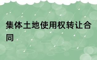 集体土地使用权转让合同