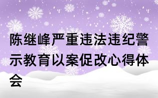 陈继峰严重违法违纪警示教育以案促改心得体会