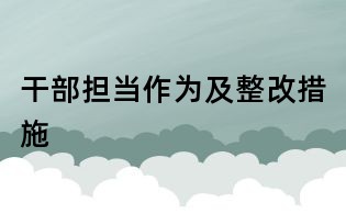 干部担当作为及整改措施