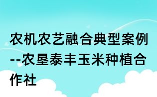 农机农艺融合典型案例--农垦泰丰玉米种植合作社