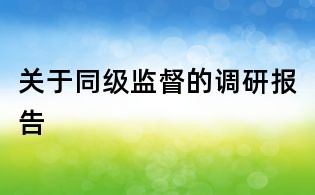 关于同级监督的调研报告