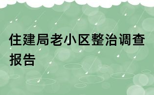 住建局老小区整治调查报告