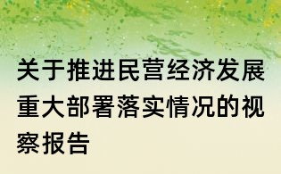 关于推进民营经济发展重大部署落实情况的视察报告