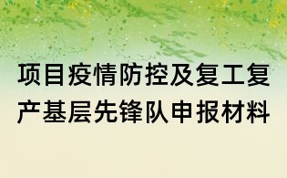 项目疫情防控及复工复产基层先锋队申报材料