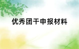 优秀团干申报材料