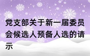 党支部关于新一届委员会候选人预备人选的请示