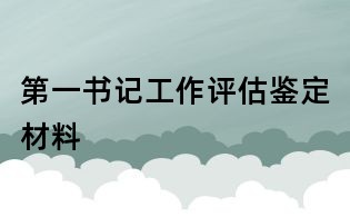 第一书记工作评估鉴定材料