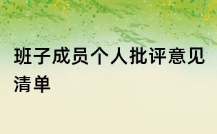 班子成员个人批评意见清单