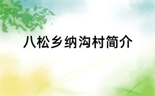 八松乡纳沟村简介