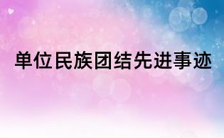 单位民族团结先进事迹