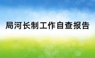 局河长制工作自查报告