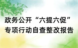 政务公开“六提六促”专项行动自查整改报告