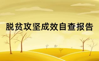 脱贫攻坚成效自查报告