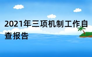 2021年三项机制工作自查报告