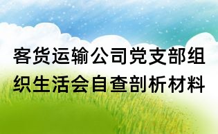 客货运输公司党支部组织生活会自查剖析材料