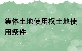 集体土地使用权土地使用条件