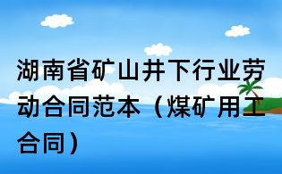 湖南省矿山井下行业劳动合同范本(煤矿用工合同)