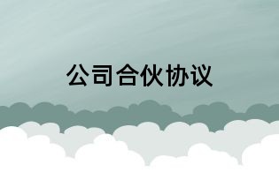 公司合伙协议