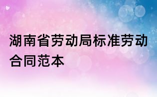 湖南省劳动局标准劳动合同范本