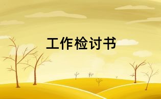 工作检讨书