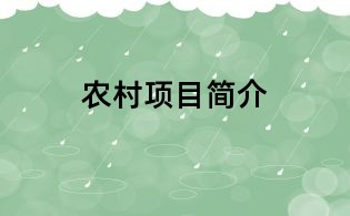 农村项目简介