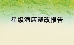 星级酒店整改报告