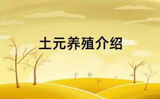 土元养殖介绍