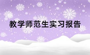 教学师范生实习报告