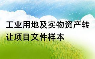 工业用地及实物资产转让项目文件样本