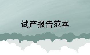 试产报告范本