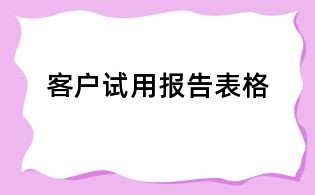 客户试用报告表格
