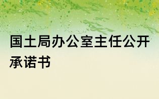国土局办公室主任公开承诺书