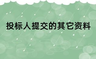 投标人提交的其它资料